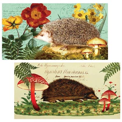 Henrietta Hedgehog Matchbox