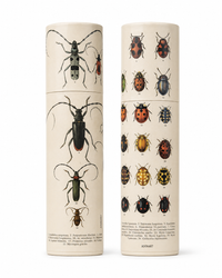 Vintage Entomology Tube Matches