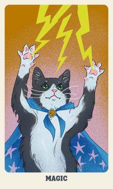 Feline Mystique Oracle Deck and Guidebook by Jennifer Sodoni & Amelia Rose