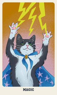 Feline Mystique Oracle Deck and Guidebook by Jennifer Sodoni & Amelia Rose