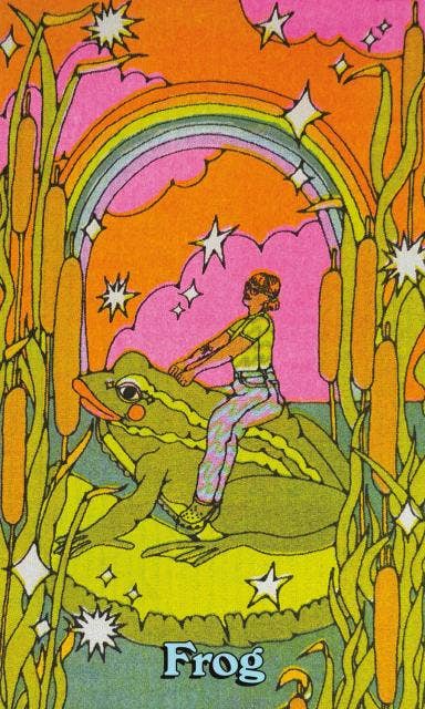 Queer Animal Oracle by Ashley Molesso & Chess Needham