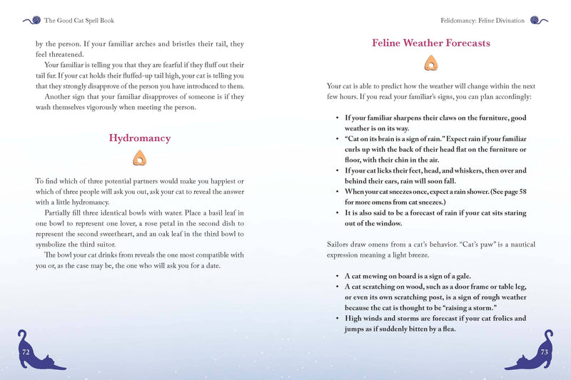 Good Cat Spell Book by Gillian Kemp