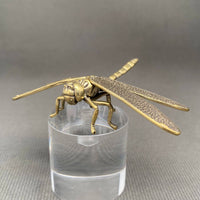 Brass Dragonfly Decoration
