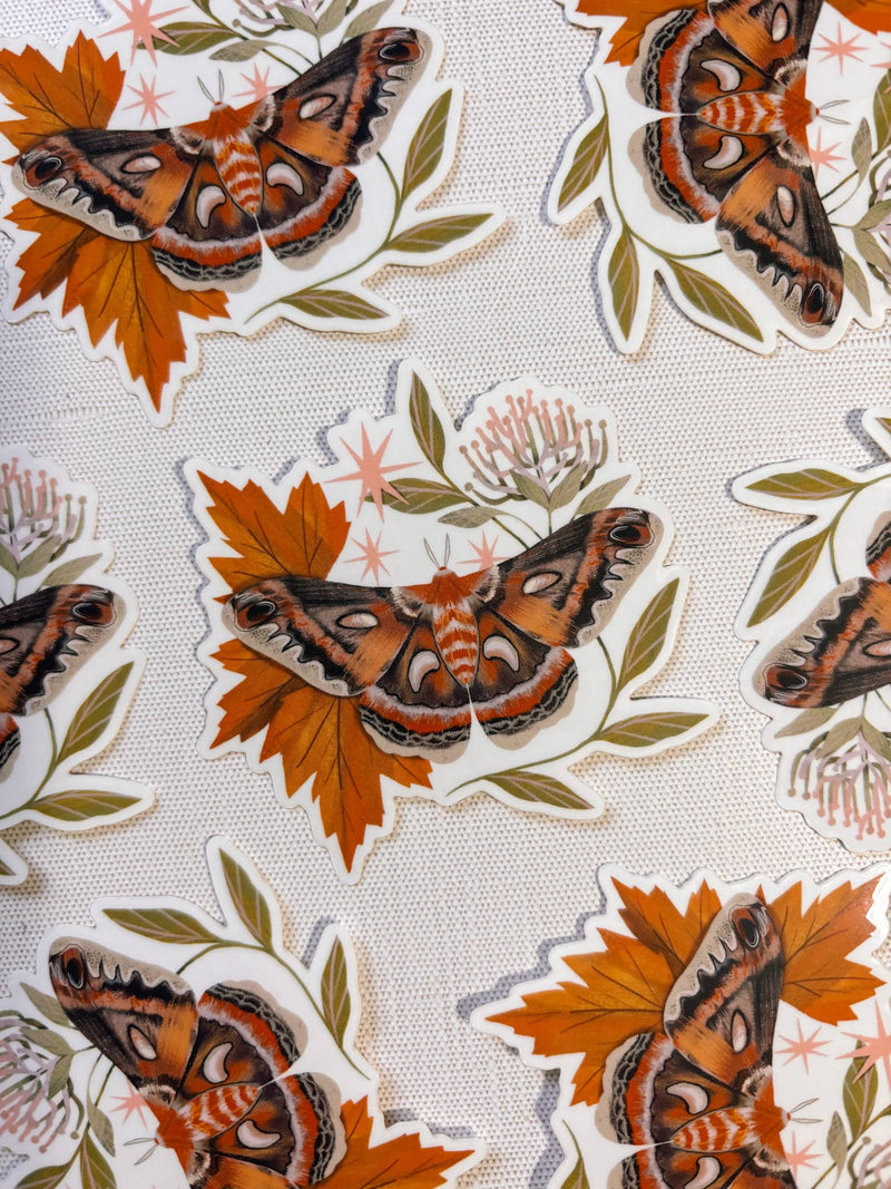 Cecropia Moth Clear Vinyl Sticker