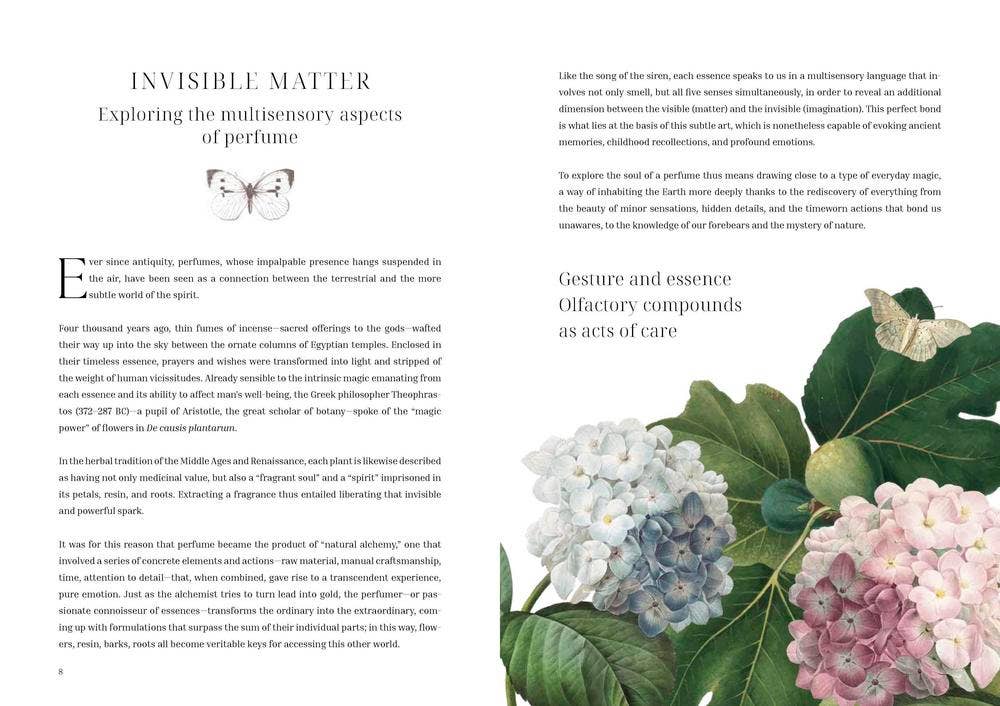 Olfactory Code by Caterina Roncati & Marlamú