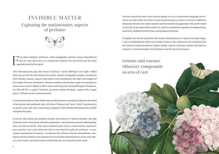 Olfactory Code by Caterina Roncati & Marlamú