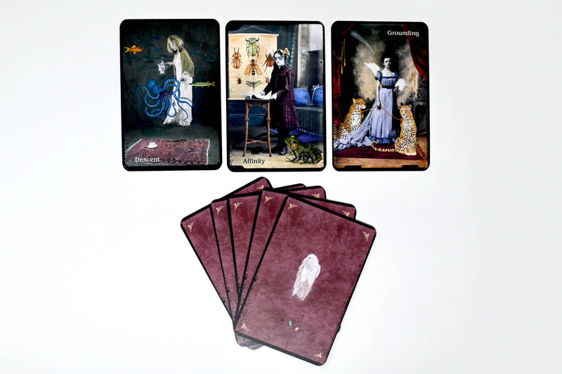 Oracle of Rewilding by Alexandra Eldridge & Sherry Salman