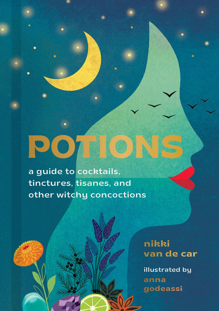 Potions by Nikki Van de Car