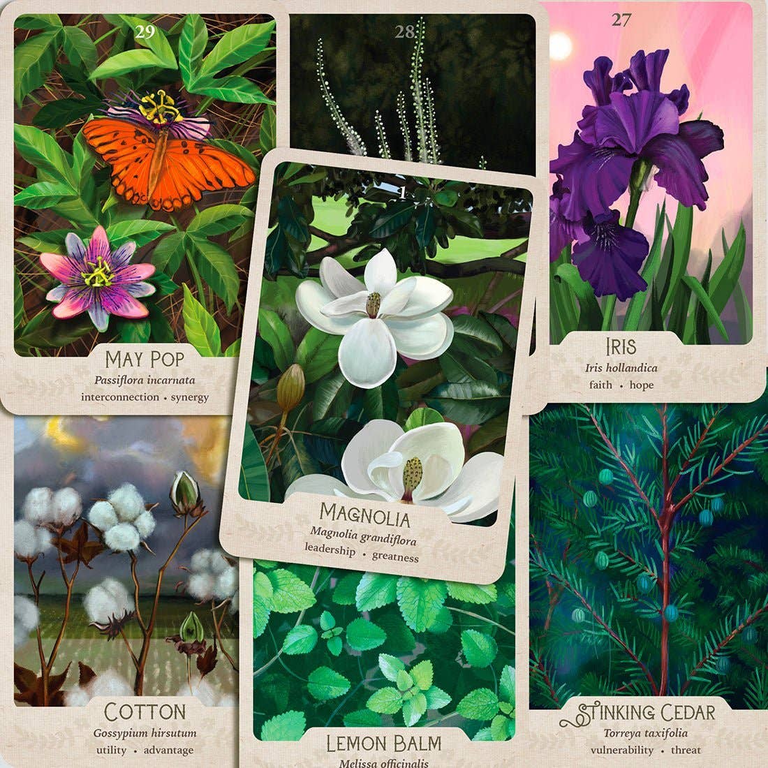 The Southern Botanic Oracle by Stacey Williams-Ng