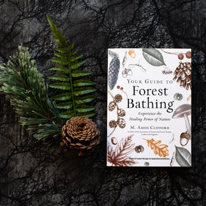 Your Guide to Forest Bathing: Expanded Edition by M. Amos Clifford