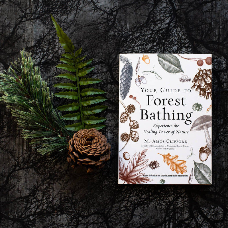 Your Guide to Forest Bathing: Expanded Edition by M. Amos Clifford