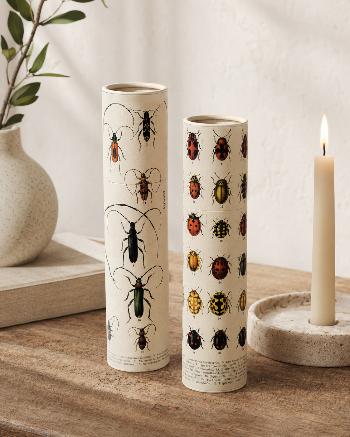 Vintage Entomology Tube Matches