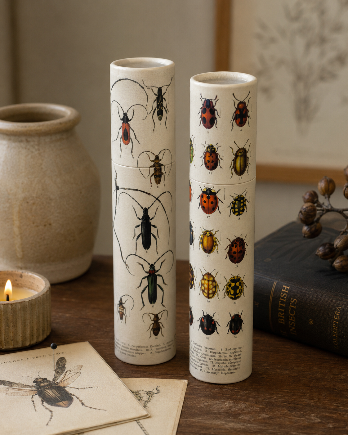 Vintage Entomology Tube Matches