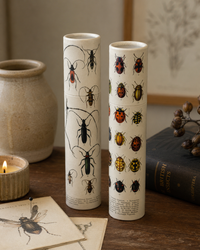 Vintage Entomology Tube Matches