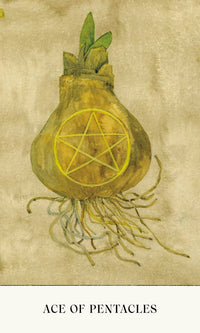 Soul Tarot by Lindsay Mack & Chelsea Granger