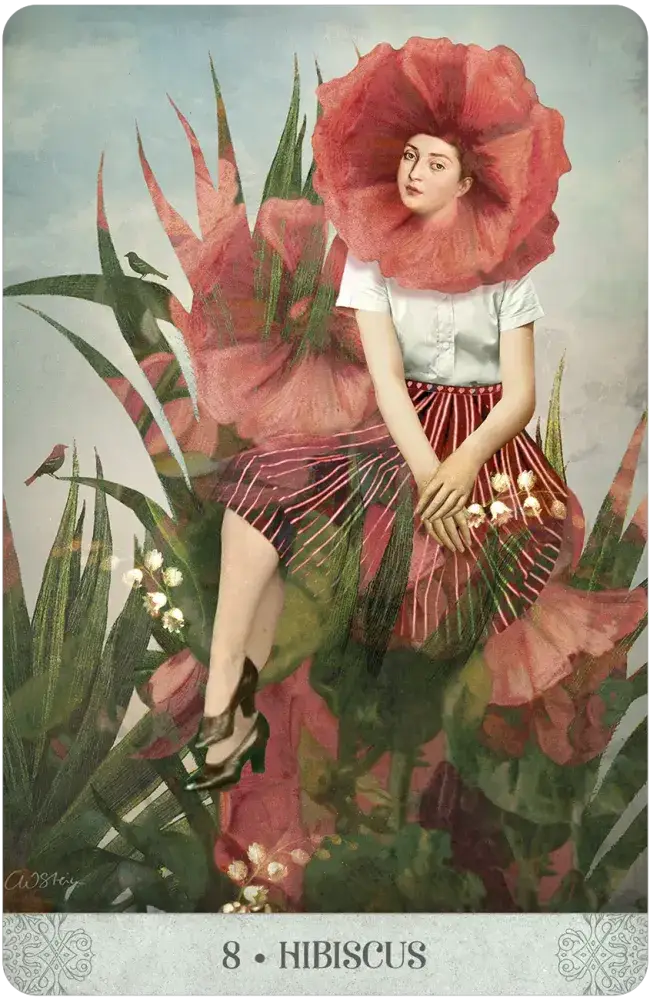 Botanical Dreams Oracle by Catrin Welz-Stein & Lynn Araujo
