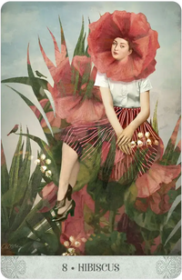 Botanical Dreams Oracle by Catrin Welz-Stein & Lynn Araujo