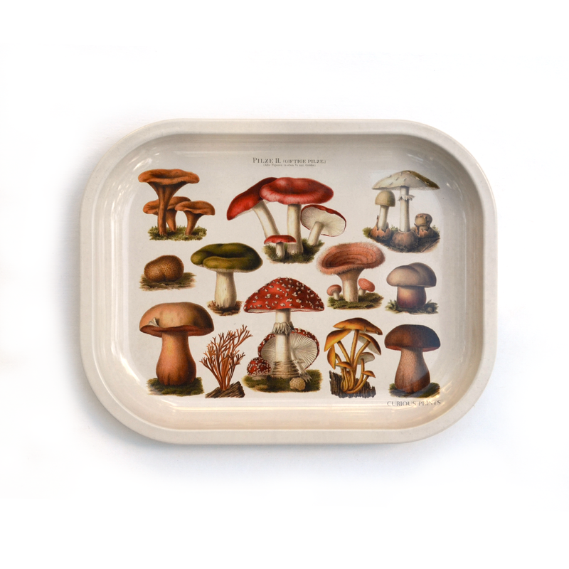 Mushroom Vintage Illustration Metal Trinket Tray