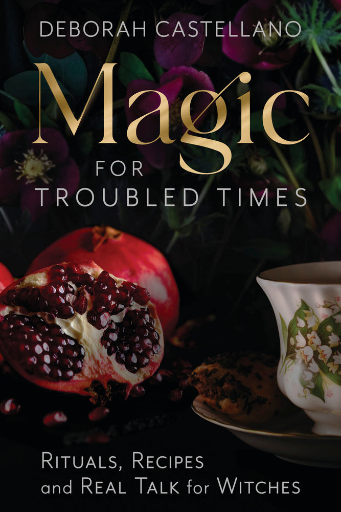 Magic for Troubled Times by Deborah Castellano