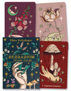 Divine Light Oracle Cards By Ezio Aninchini