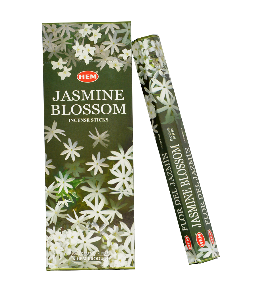 HEM Incense Sticks Hex Pack (20 Sticks) - Various Fragrances