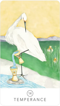Black Seed Tarot by Theresa Hutch