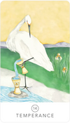 Black Seed Tarot by Theresa Hutch