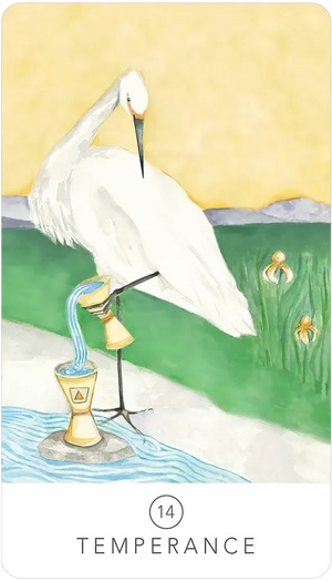 Black Seed Tarot by Theresa Hutch