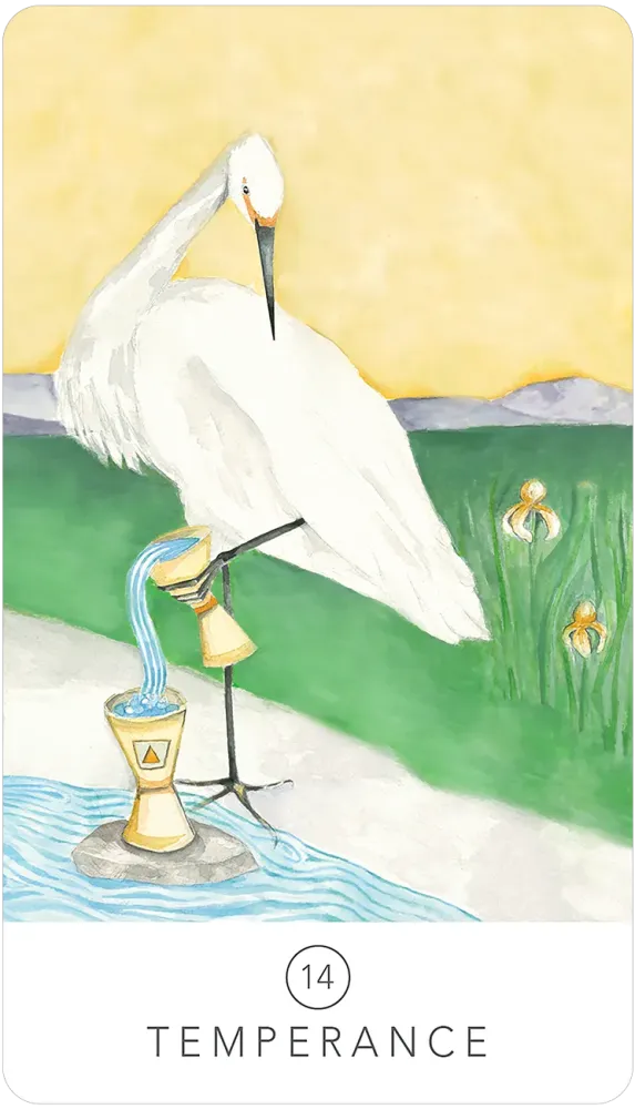 Black Seed Tarot by Theresa Hutch