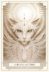 White Light Oracle by Alana Fairchild & A. Andrew Gonzalez
