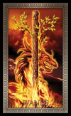 Tarot Grand Luxe by Ciro Marchetti