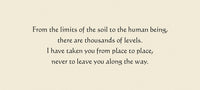 Rumi: Jewels of Wisdom, Healing and Guidance Affirmation Deck