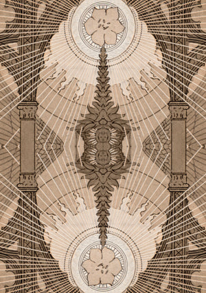Divine Light Oracle Cards By Ezio Aninchini