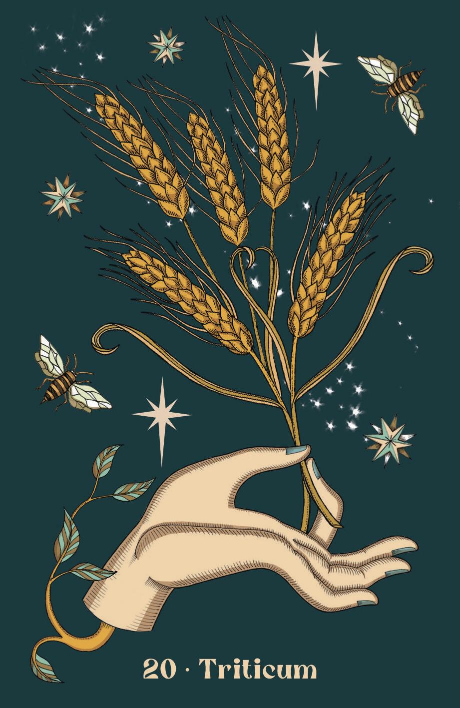 Herbarium Oracle by Elisa Seitzinger