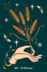 Herbarium Oracle by Elisa Seitzinger