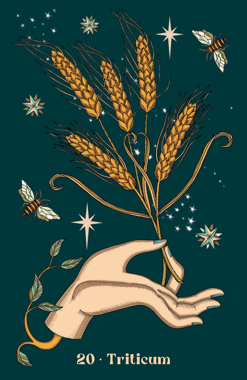 Herbarium Oracle by Elisa Seitzinger