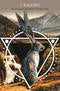 Animal Guide Rune Cards by Dawid Lipka & Bartosz Mazik