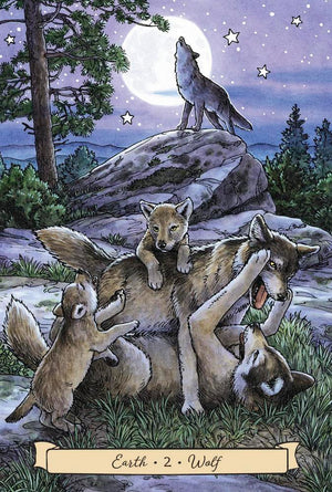 Everyday Witch's Familiars Oracle By Elisabeth Alba & Deborah Blake