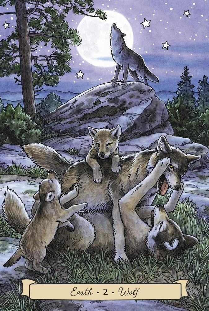 Everyday Witch's Familiars Oracle By Elisabeth Alba & Deborah Blake