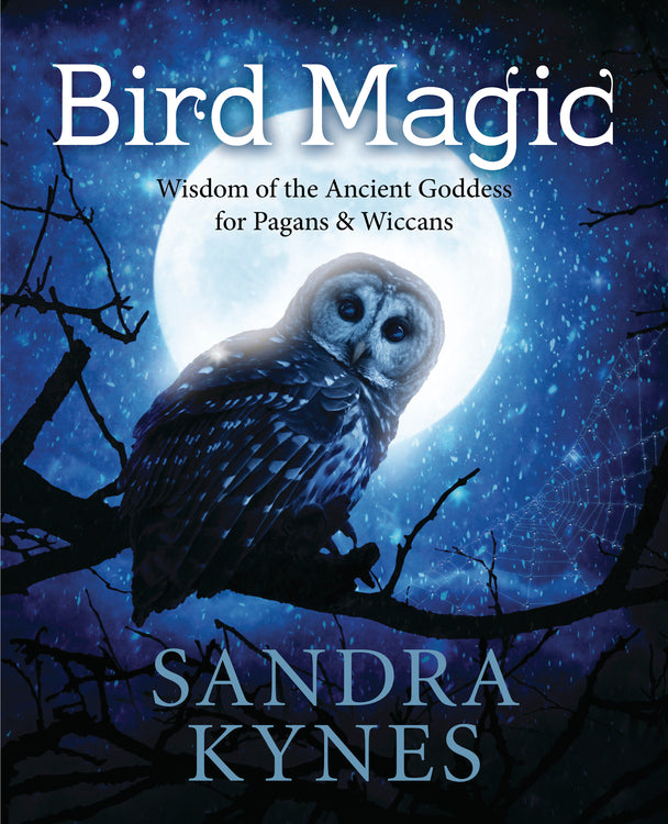 Bird Magic by Sandra Kynes