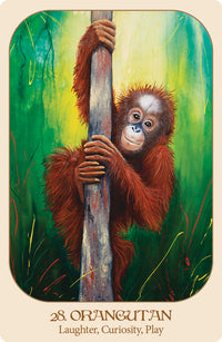 Animal Voices Oracle Deck by Chip Richards & Susan Farrell
