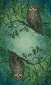 Forest of Enchantment Tarot by Lunaea Weatherstone & Meraylah Allwood