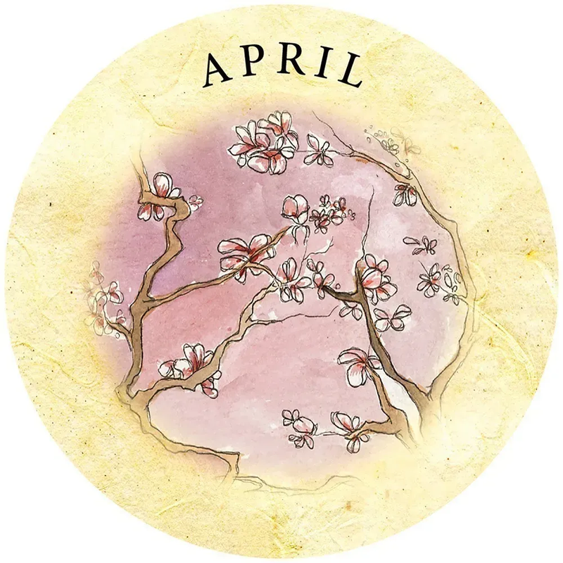 Tea Leaf Fortune Cards By Rae Hepburn & Shawna Alexander