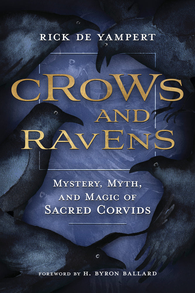 Crows and Ravens by Rick De Yampart