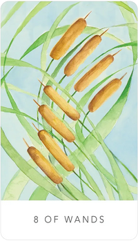 Black Seed Tarot by Theresa Hutch