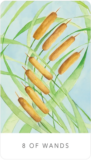 Black Seed Tarot by Theresa Hutch