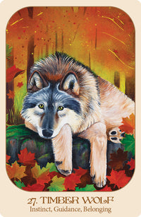 Animal Voices Oracle Deck by Chip Richards & Susan Farrell