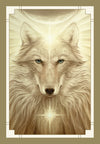 White Light Oracle by Alana Fairchild & A. Andrew Gonzalez