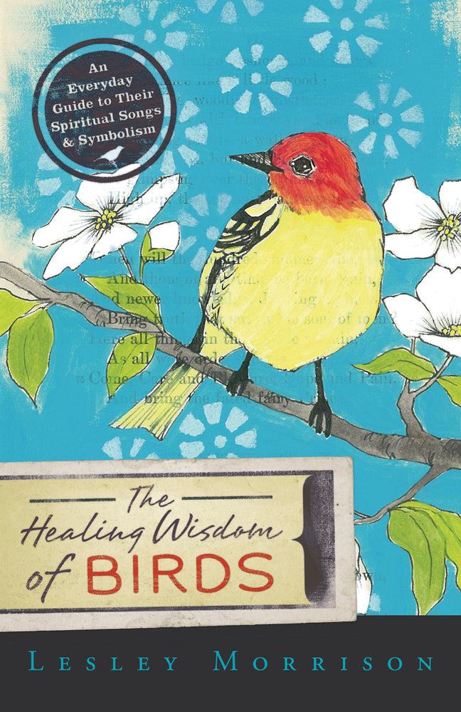 The Healing Wisdom of Birds by Lesley Morrison