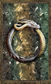 World Dragon Oracle by Virginia Chandler & Anne Stokes